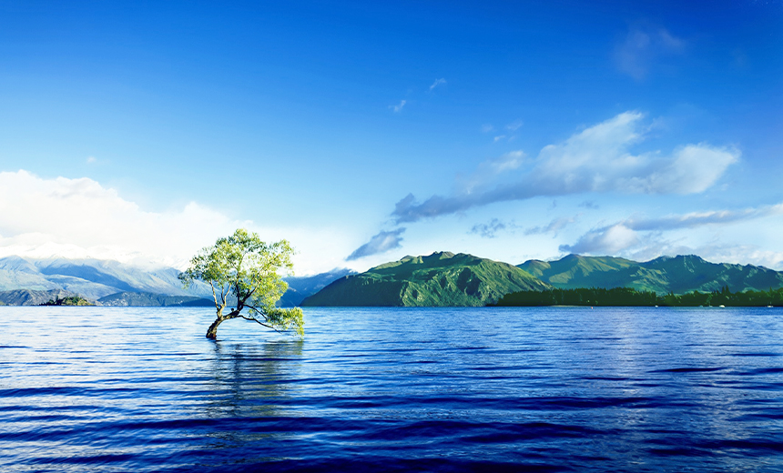 水产浓缩饲料的储存与保质期管理：避免营养流失的关键要点